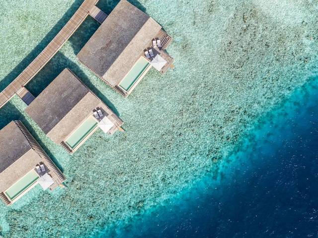 фотографии Kudadoo Maldives Private Island изображение №52