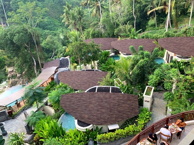 фото отеля Tanadewa Resort & Spa Ubud изображение №9