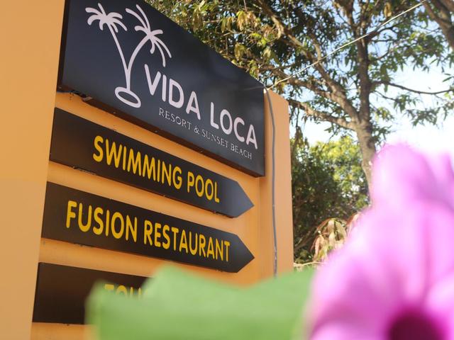 фото отеля Vida Loca Resort изображение №13