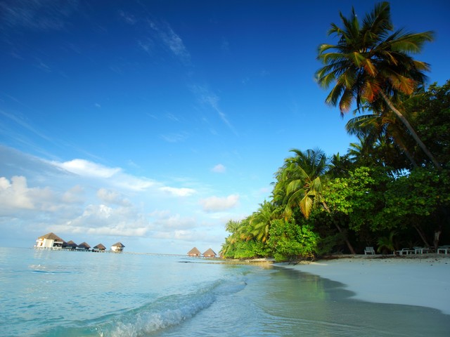 фотографии Beach Park Residence by UI Maldives изображение №4