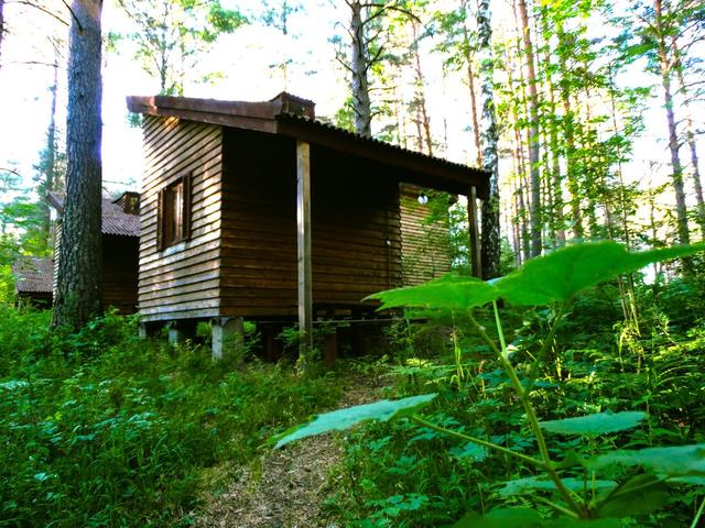 База шале прискальный алтай. Шале Прискальный горный Алтай. Турбаза Прискальный горный Алтай. Манжерок Шале Прискальный.