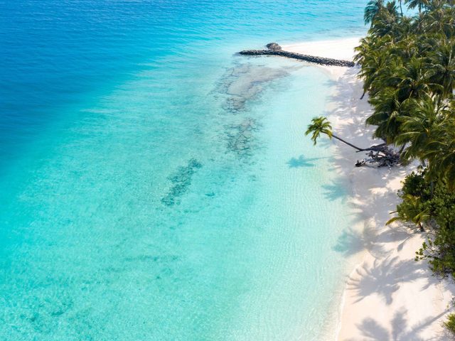 фотографии отеля Fiyavalhu Maldives изображение №39