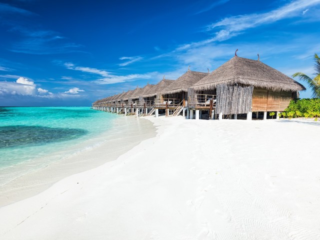 фотографии Seasalter Maldives изображение №4