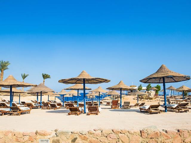 фотографии отеля Pyramisa Beach Resort Sharm El Sheikh (ex. Pyramisa Resort; Dessole Pyramisa Resort; Sea Magic Resort) изображение №47