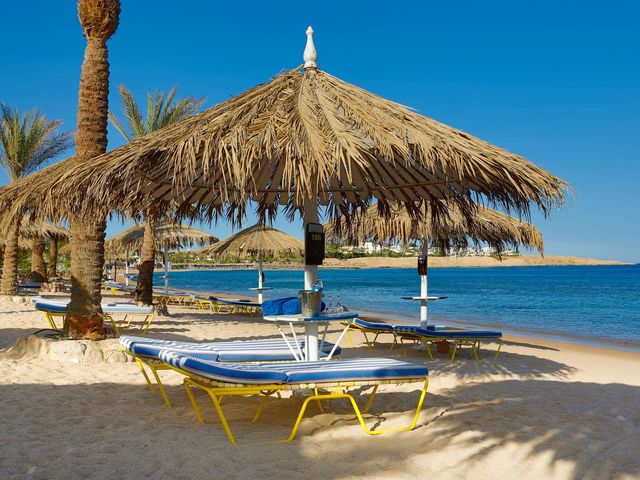 фото отеля Jaz Sharm Dreams Resort изображение №37