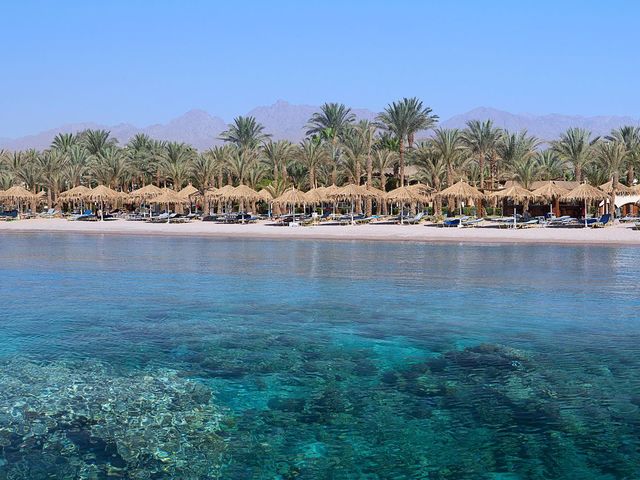 фото Jaz Sharm Dreams Resort изображение №30