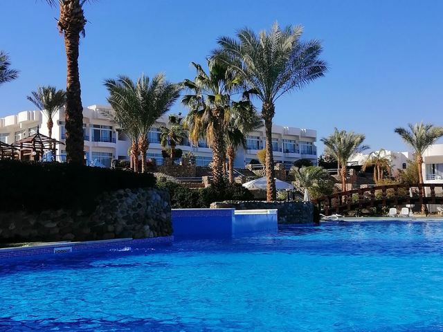 фотографии Queen Sharm Resort изображение №32