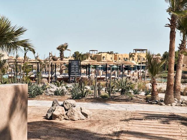 фотографии Cook's Club El Gouna (ex. Arena Inn) изображение №12