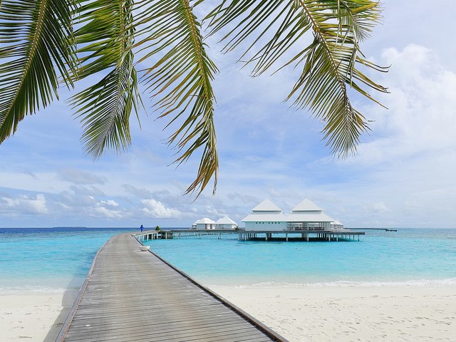 фото Diamonds Thudufushi Beach & Water Villas изображение №34