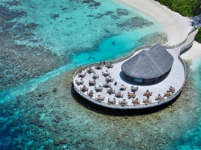 фотографии Bandos Maldives (ex. Bandos Island Resort & Spa) изображение №48