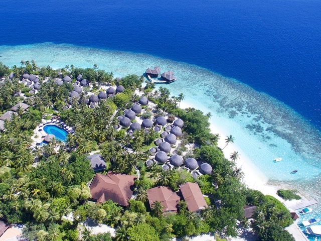 фотографии Bandos Maldives (ex. Bandos Island Resort & Spa) изображение №36