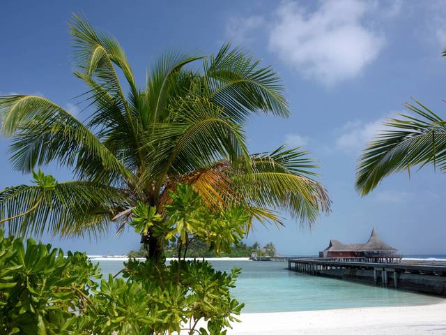 фото отеля Anantara Veli Maldives (ex.Anantara Huraa) изображение №29