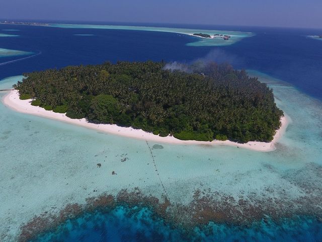 фотографии Biyadhoo Island Resort изображение №16