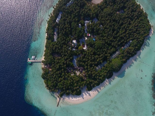 фотографии отеля Biyadhoo Island Resort изображение №7