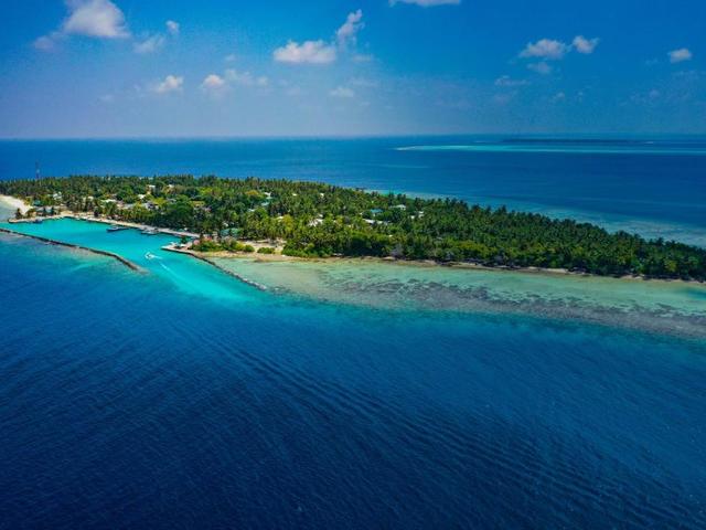 фотографии отеля Turtle Maldives изображение №15
