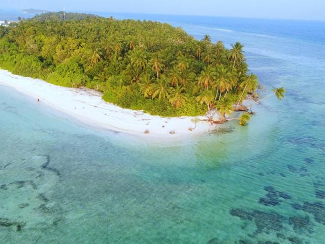 фото отеля White Tern Maldives изображение №13