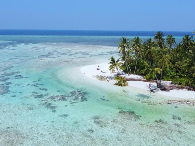фото White Tern Maldives изображение №10