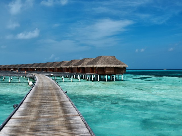 фотографии отеля Grand Beach Dhigurah изображение №7