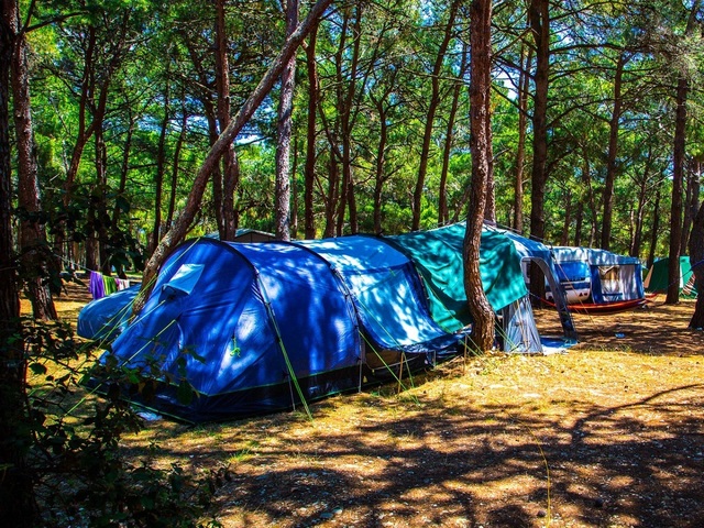 фото Arena Stupice Campsite изображение №14