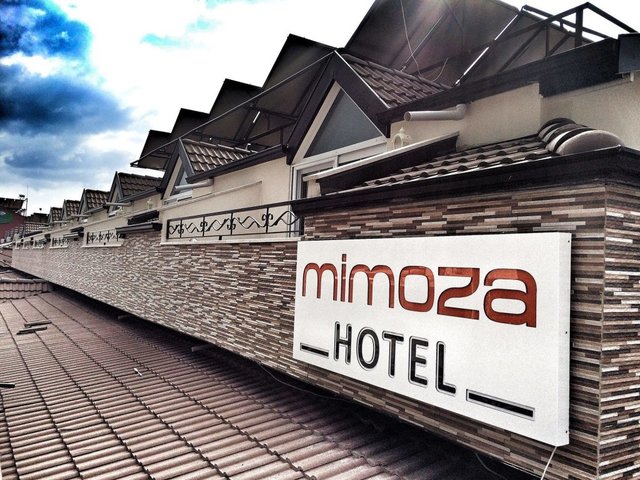 фотографии отеля Mimoza изображение №11