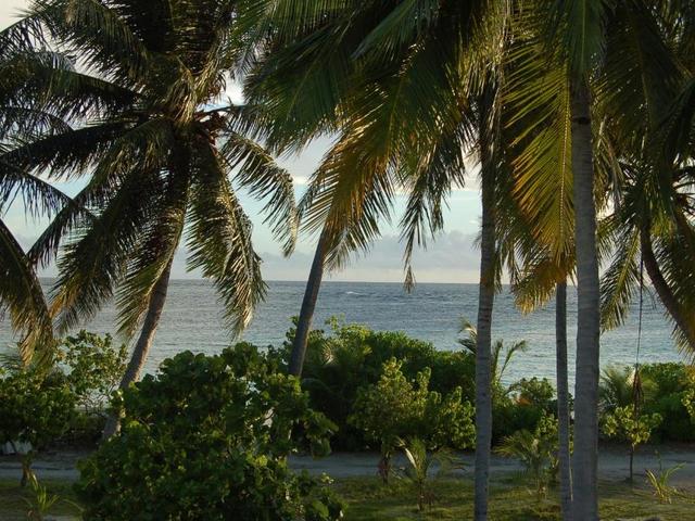 фото Vaali Beach & Dive Lodge Maldives изображение №18