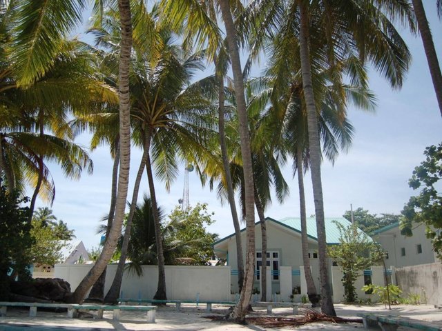фото Vaali Beach & Dive Lodge Maldives изображение №10