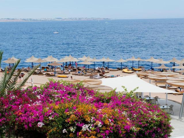 фотографии Amphoras Aqua (ex. Shores Golden Resort; Golden Sharm) изображение №16