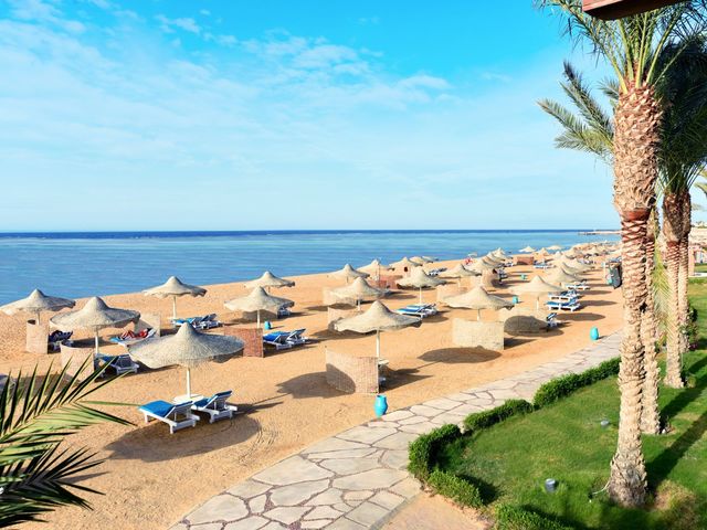 фото отеля Hotelux Oriental Coast Marsa Alam (ex. Sentido Oriental Dream Resort; Sun Rise Oriental Dream) изображение №21