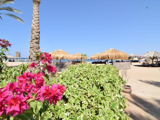 фотографии Sharm El Naga Resort & Diving Center изображение №16