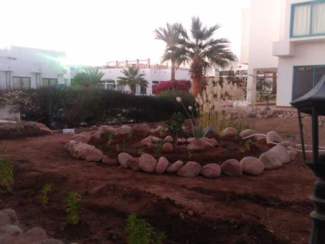 фотографии отеля New Badawia Sharm Resort (ex. Badawia Resort; All Season Badawia) изображение №11