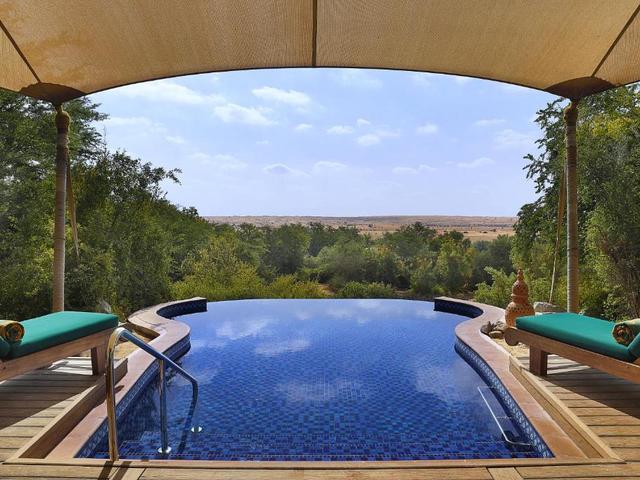 фотографии Al Maha A Luxury Collection Desert Resort & Spa  изображение №16