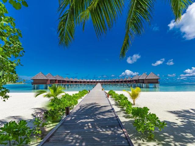 фотографии отеля Sun Siyam Olhuveli (ex. Olhuveli Beach & Spa Resort) изображение №63