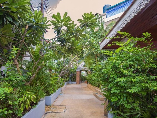 фотографии Asena Karon Resort (ех. Tuana My Friend House Resort; Sunny Resort) изображение №16