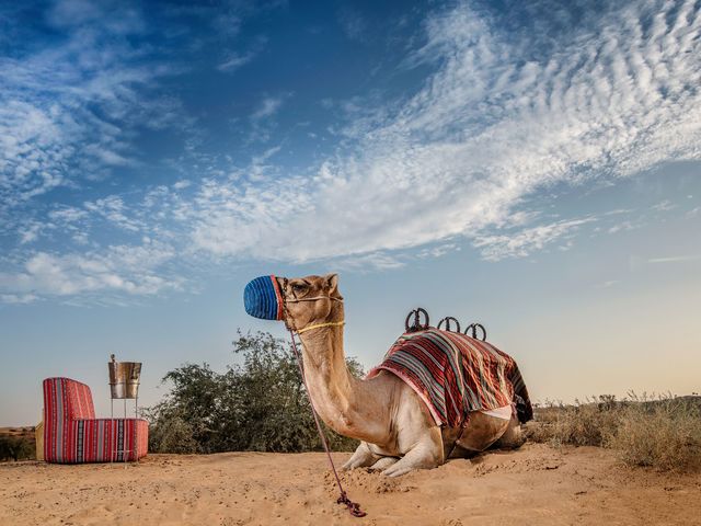 фотографии отеля The Ritz-Carlton Ras Al Khaimah, Al Wadi Desert (ex. Banyan Tree Al Wadi) изображение №11