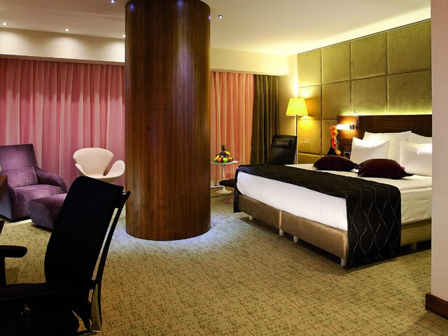 фотографии Crowne Plaza Istanbul Harbiye изображение №8