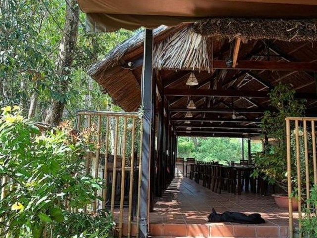 фотографии Ecovil Resort (ex. Camellia Homestay & Bar) изображение №4