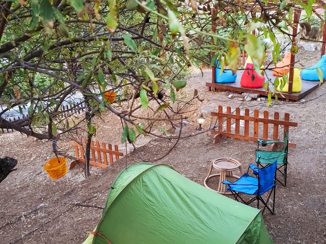 фотографии Palmira Bungalow & Camping изображение №24