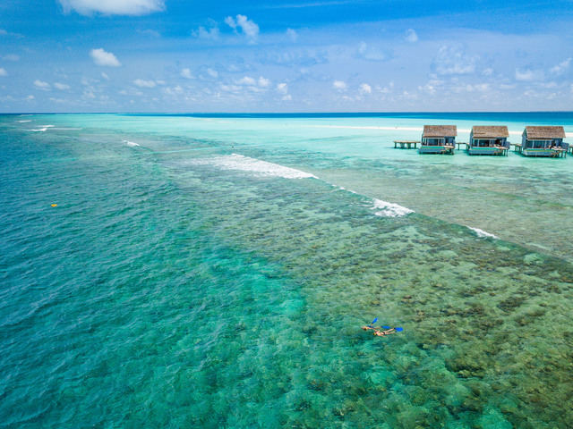 фото отеля Kuramathi Maldives (ex. Kuramathi Island Resort) изображение №25