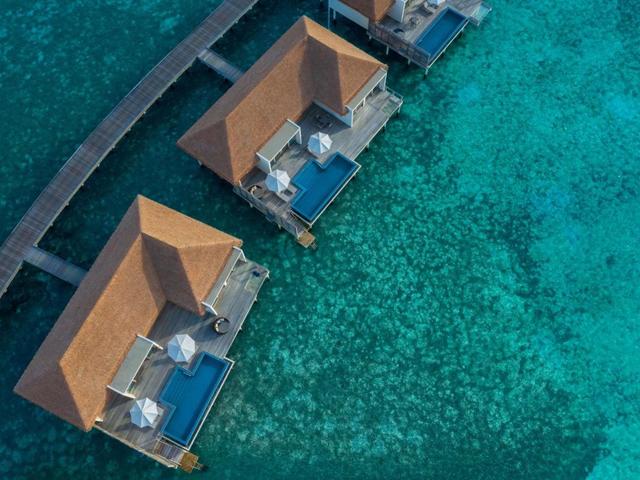 фотографии Radisson Blu Resort Maldives изображение №64
