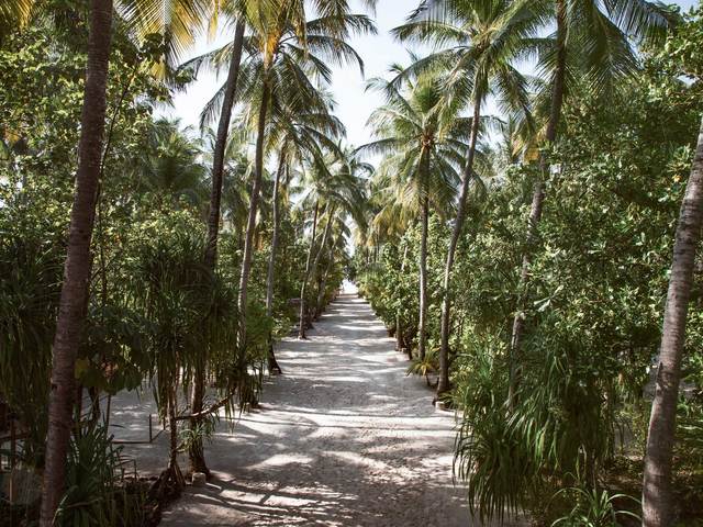 фотографии Nakai Maayafushi Resort (ex. Maayafushi Tourists Resort) изображение №12