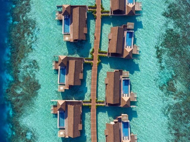 фотографии отеля Waldorf Astoria Maldives Ithaafushi изображение №39