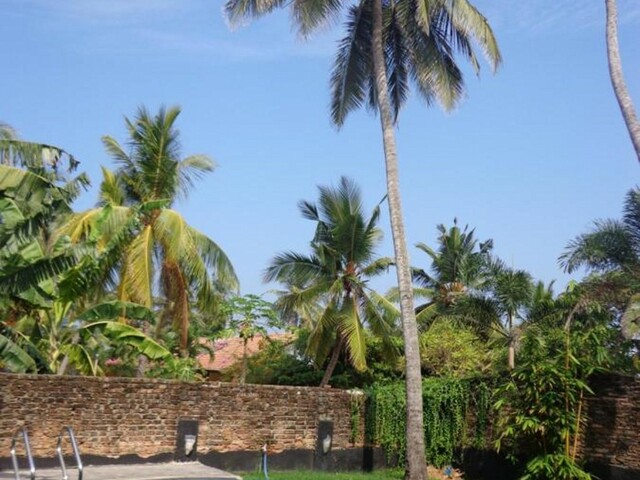 фото Star White Negombo изображение №2