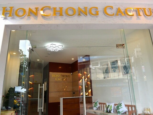 фотографии отеля Hon Chong Cactus изображение №7