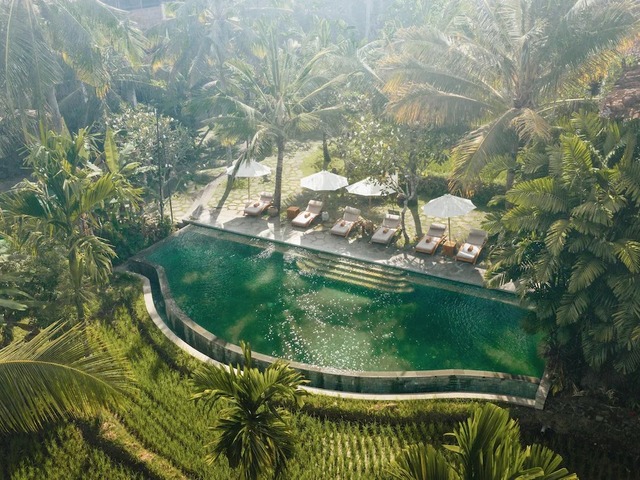 фото отеля Alaya Resort Ubud изображение №25