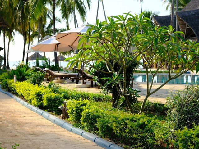 фото Pongwe Bay Resort изображение №10