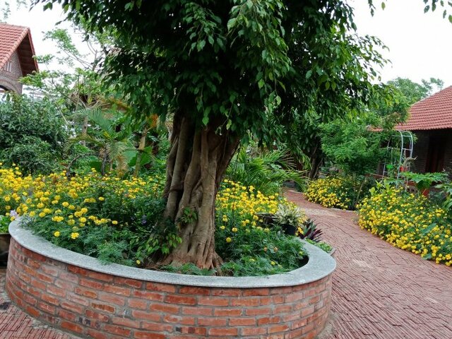 фотографии Ninh Binh Eco Garden изображение №28