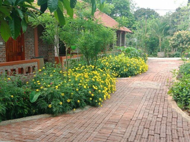 фотографии Ninh Binh Eco Garden изображение №20