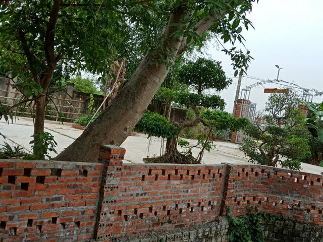 фото отеля Ninh Binh Eco Garden изображение №5