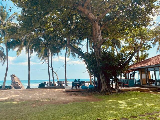 фото Sri Gemunu Beach Resort изображение №10