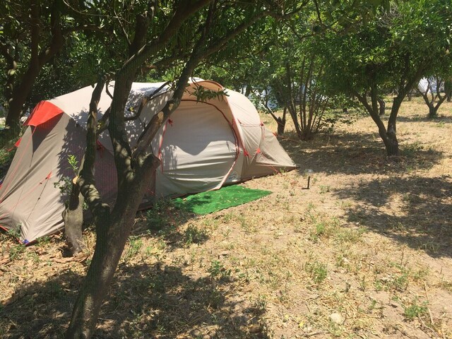 фото Bodrum Masali Camping изображение №10